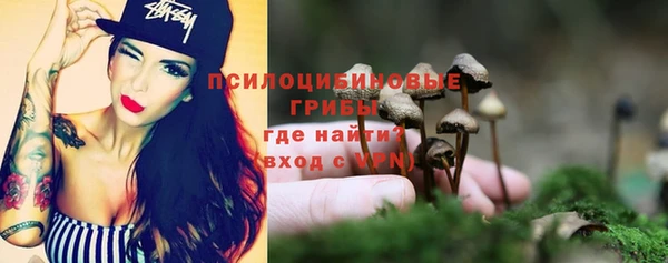синтетический гашиш Лабытнанги