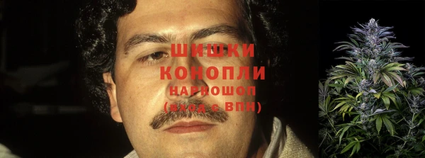метадон Лагань