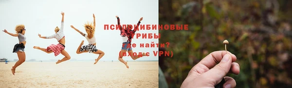 мяу мяу мука Ладушкин