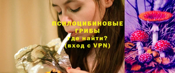 метадон Лагань
